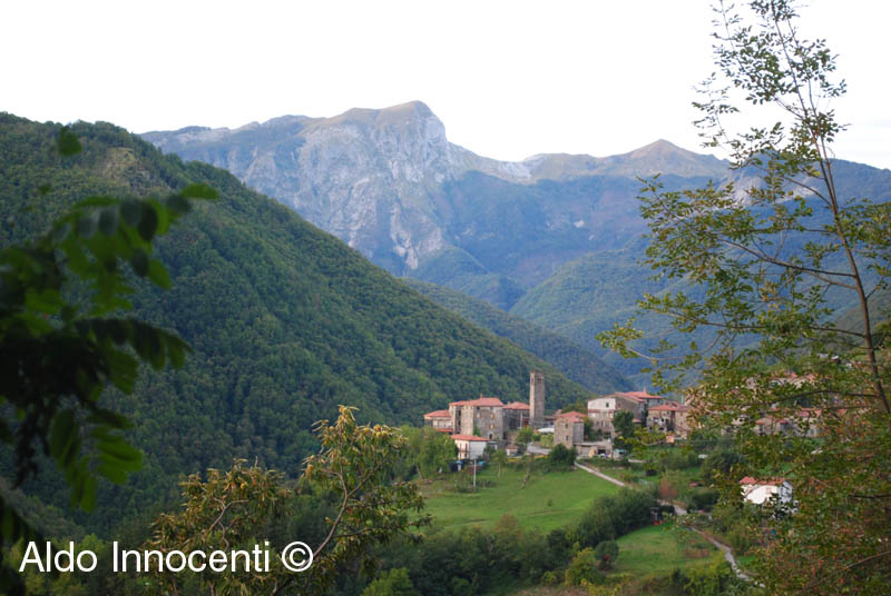 PUGLIANELLA: PANORAMA 3' IMMAGINE